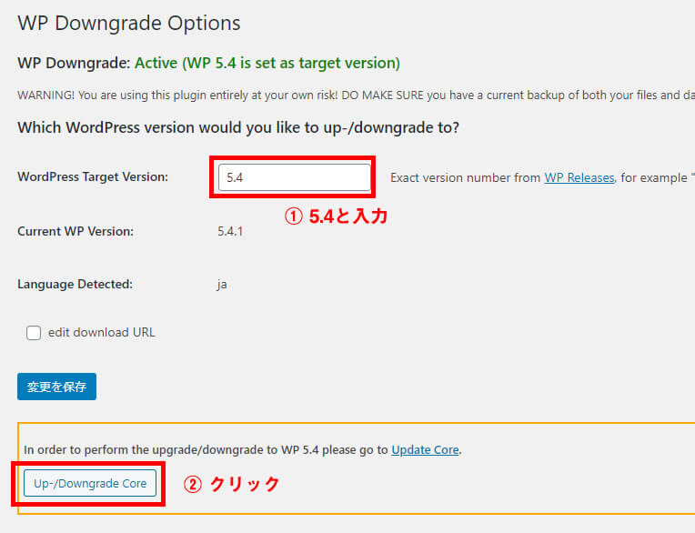 WP Downgrade Options